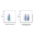 MHC class II I E kappa Mouse mAb (Biotin)