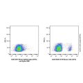 Mouse IgG2a-kappa (APC), anti-Spike RBD
