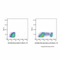 Mouse IgG2a-Fc (Biotin)
