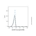 Human IgG3 (AF488)