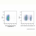 Rat IgG2b-kappa (Biotin), anti-Spike RBD