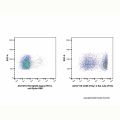 Rat IgG2b-kappa (FITC), anti-Spike RBD