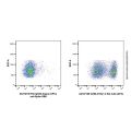 Rat IgG2b-kappa (APC), anti-Spike RBD