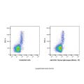Human IgG4-kappa (Bitoin)