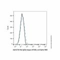 Rat IgG2a-kappa (AF405), anti-Spike RBD