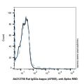 Rat IgG2a-kappa (AF555), anti-Spike RBD