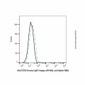 Human IgG1-kappa (AF405), anti-Spike RBD
