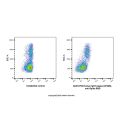 Human IgG1-kappa (AF488), anti-Spike RBD