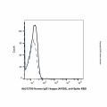 Human IgG1-kappa (AF555), anti-Spike RBD