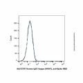 Human IgG1-kappa (AF647), anti-Spike RBD
