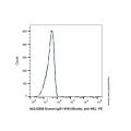 Human IgG1-VHH (Biotin), anti-HEL