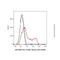 Thy1.1/CD90.1 Mouse mAb (AF405)