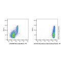 Recombinant CD45 Antibody (Biotin)