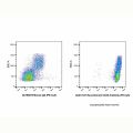 Recombinant CD45 Antibody (PE-Cy5)