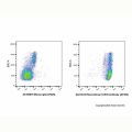 Recombinant CD45 Antibody (AF405)