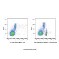 Recombinant CD4 Antibody (AF405)
