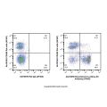 Recombinant Ly-6G/Ly-6C Antibody (AF405)