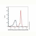 Recombinant CD235a Antibody (AF555)