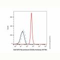 Recombinant CD235a Antibody (AF700)