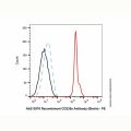 Recombinant CD235a Antibody (Biotin)