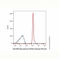 Recombinant CD235a Antibody (PE-Cy5)