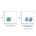 Recombinant MHC Class II Antibody (Biotin)