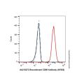 Recombinant CD98 Antibody (AF555)