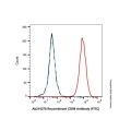 Recombinant CD98 Antibody (FITC)