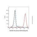 Recombinant CD98 Antibody (PE)