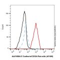 E Cadherin/CD324 Rat mAb (AF405)