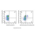 Recombinant TCR γ/δ Antibody (FITC)