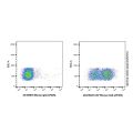 CD7 Mouse mAb (AF405)