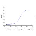 Goat Anti-Human IgG Fc (Biotin)