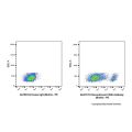 Recombinant CD20 Antibody (Biotin)