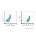 CD11a Mouse mAb (FITC)