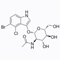 5-溴-4-氯-3-吲哚基-N-乙酰-β-D-氨基葡萄糖苷