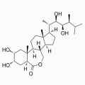 芸苔素内酯(Brassinolide)