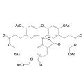BCECF-AM
