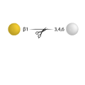 Beta-(1-3,4,6) Galactosidase