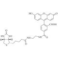 生物素-4-荧光素