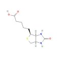 D-生物素