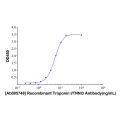 Recombinant Troponin I/TNNI3 Antibody
