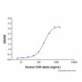 Recombinant Human beta 2 Microglobulin Protein
