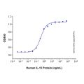 Recombinant Human IL-15 Protein