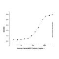 Recombinant Human beta-NGF Protein