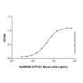 Recombinant Human ATP1A1 Protein