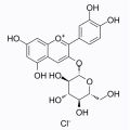 矢车菊素-3-O-葡萄糖苷