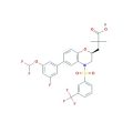 辛蒂罗根（LYC-55716）