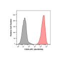 Recombinant CD20 Antibody (APC)