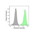 Recombinant CD20 Antibody (Biotin)